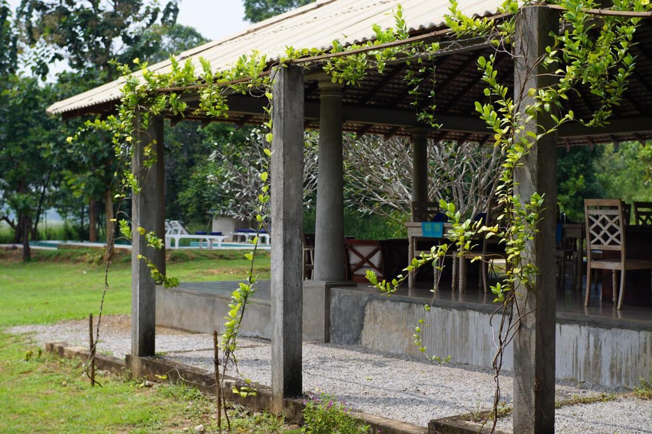 Sevanagama Konuk evi Habarana Dış mekan fotoğraf